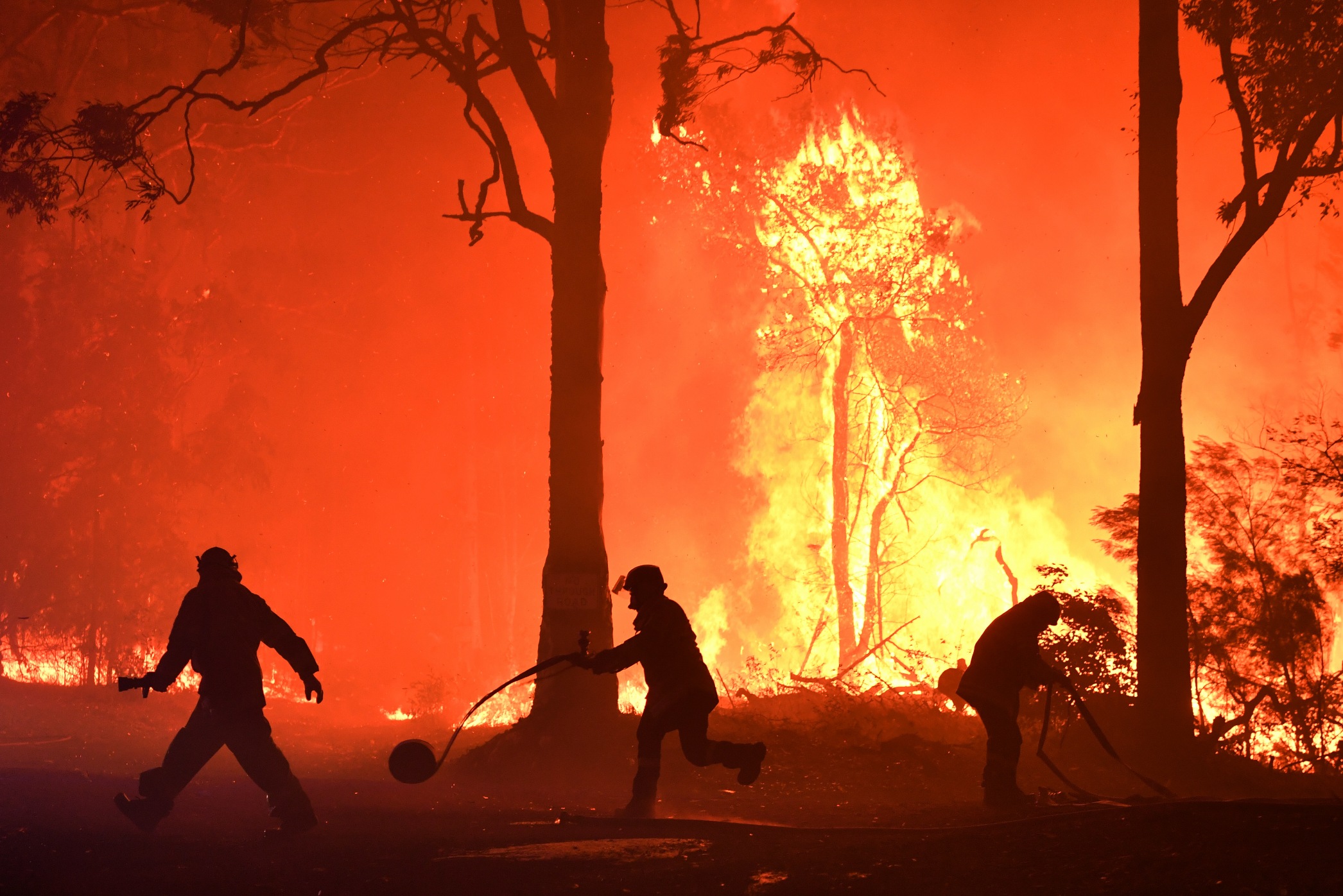 Volunteers and Fire Rescue officers fight a bushfire